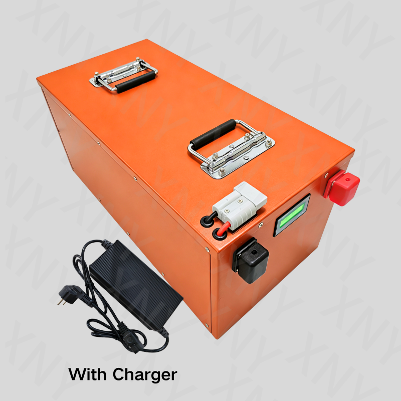 Batteria al Litio XNY-72V Life - 72V 40Ah Lifepo4 Battery Pack recensione e prezzo
